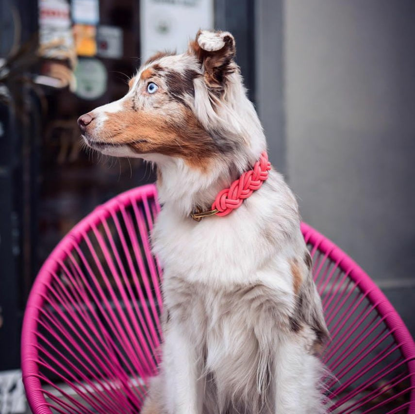 BioThane® Halsband Neon-Pink