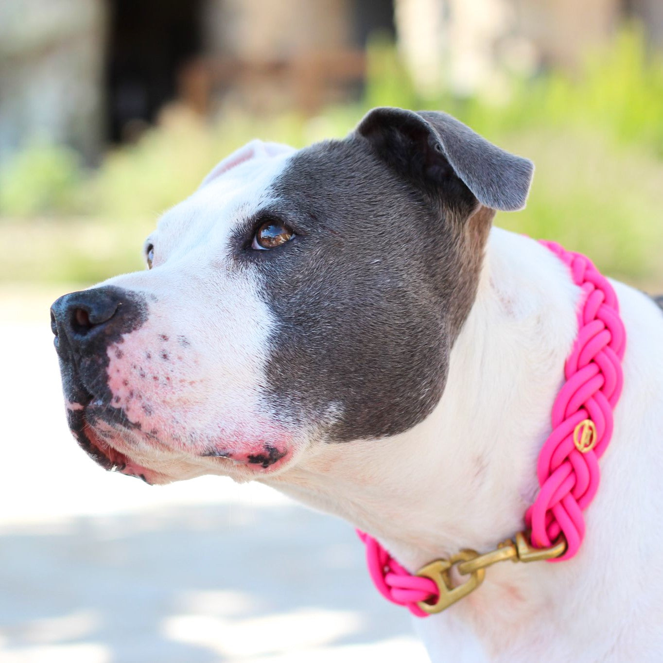 BioThane® Halsband Magenta