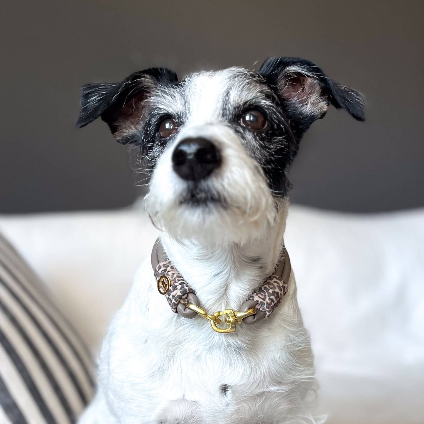 Doppelstrang-Halsband Taupe-Leo