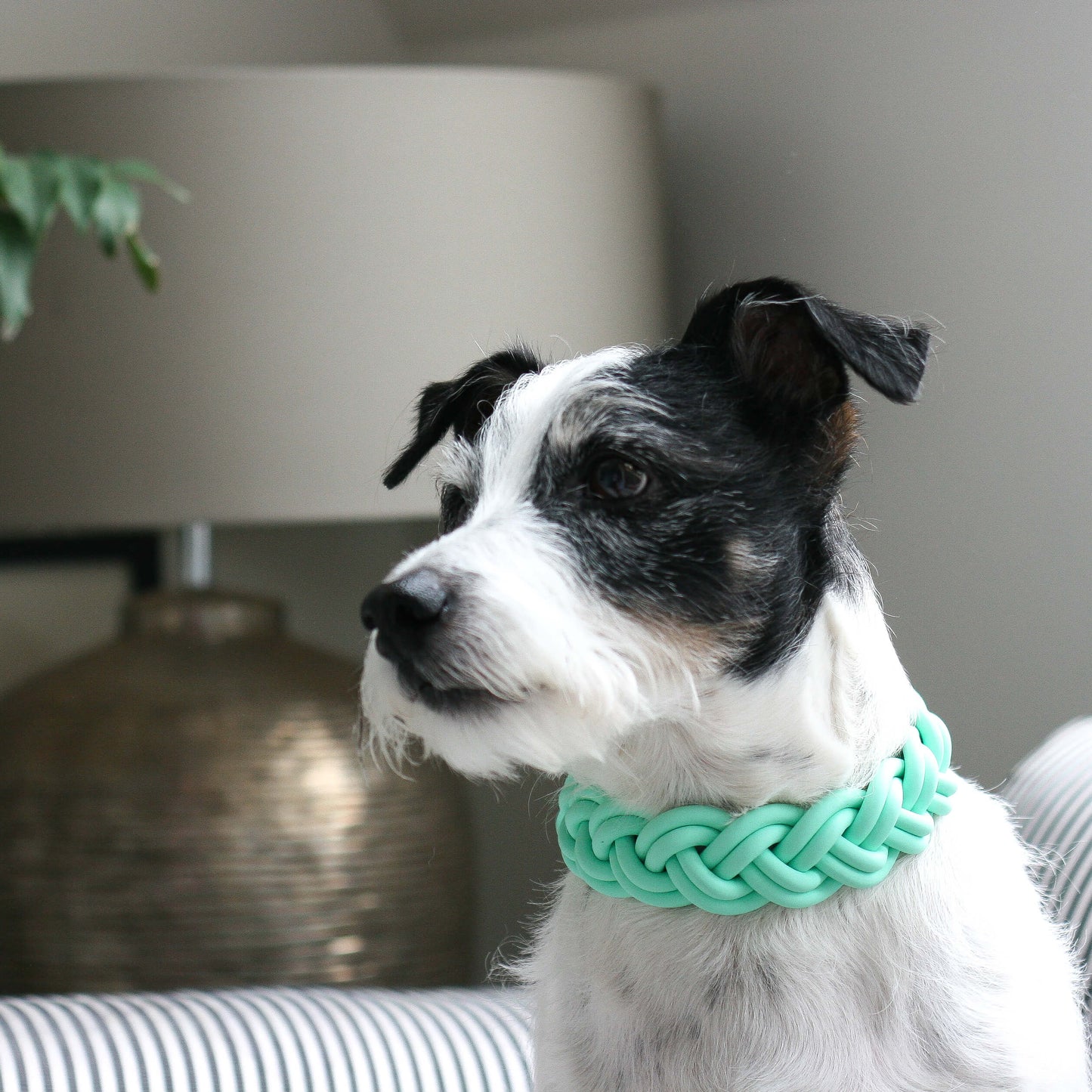 BioThane® Halsband Karibikgrün