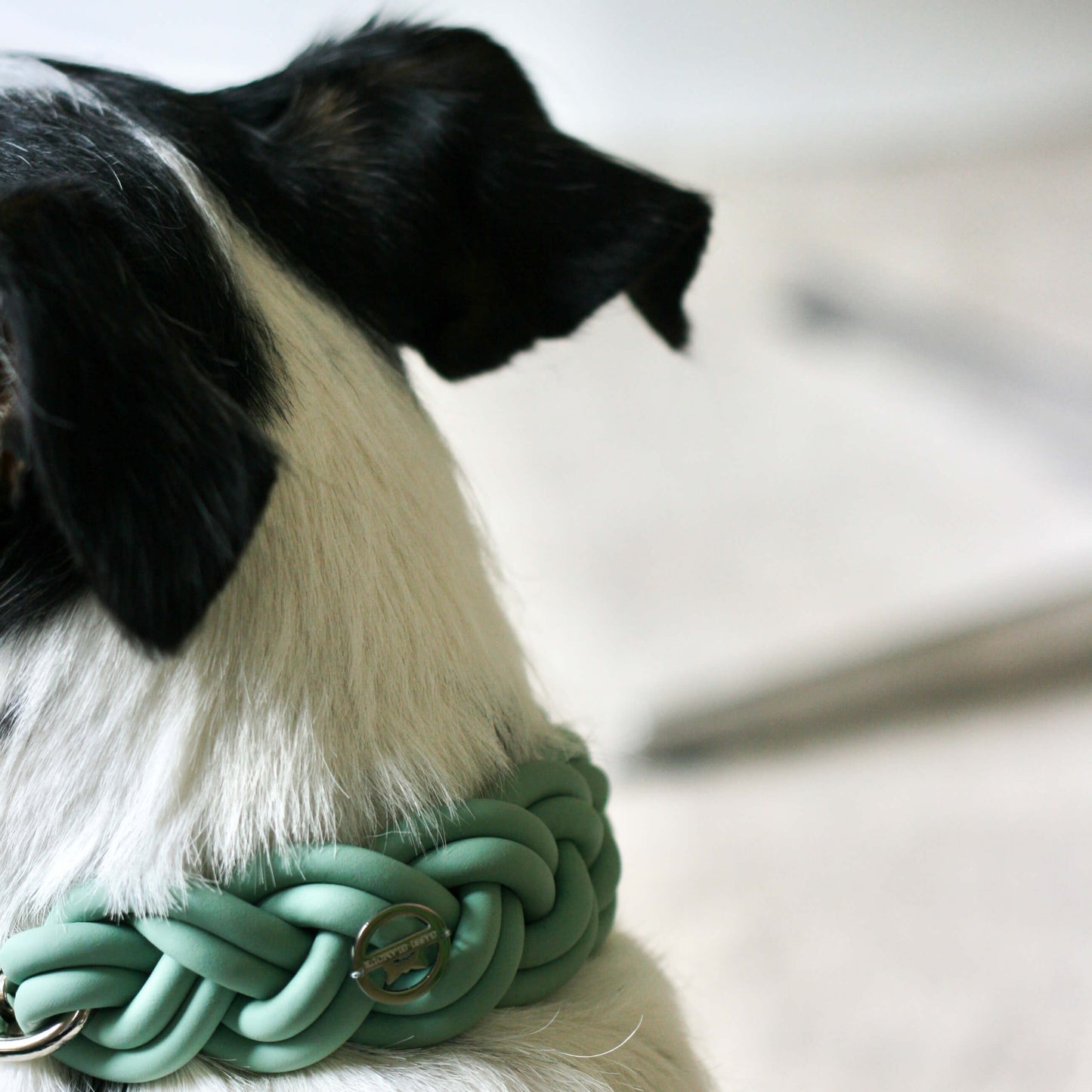 BioThane® Halsband Salbei