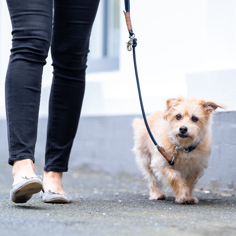 Leine Navy-Vintage Cognac