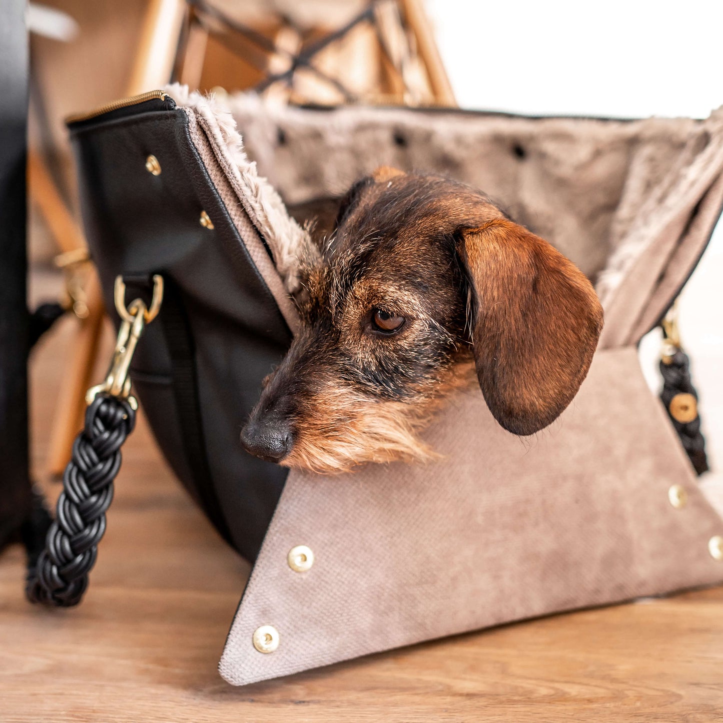 Hundeshopper in Schwarz