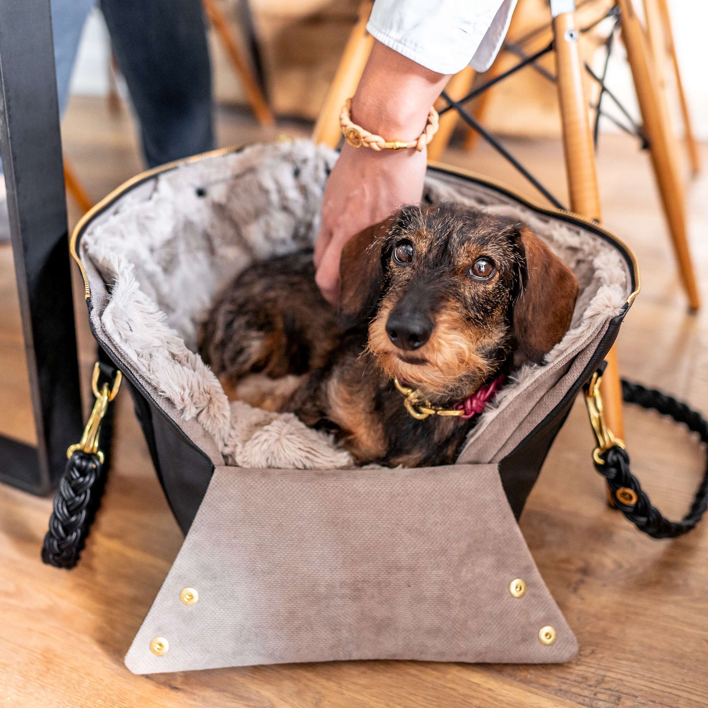 Hundeshopper in Schwarz
