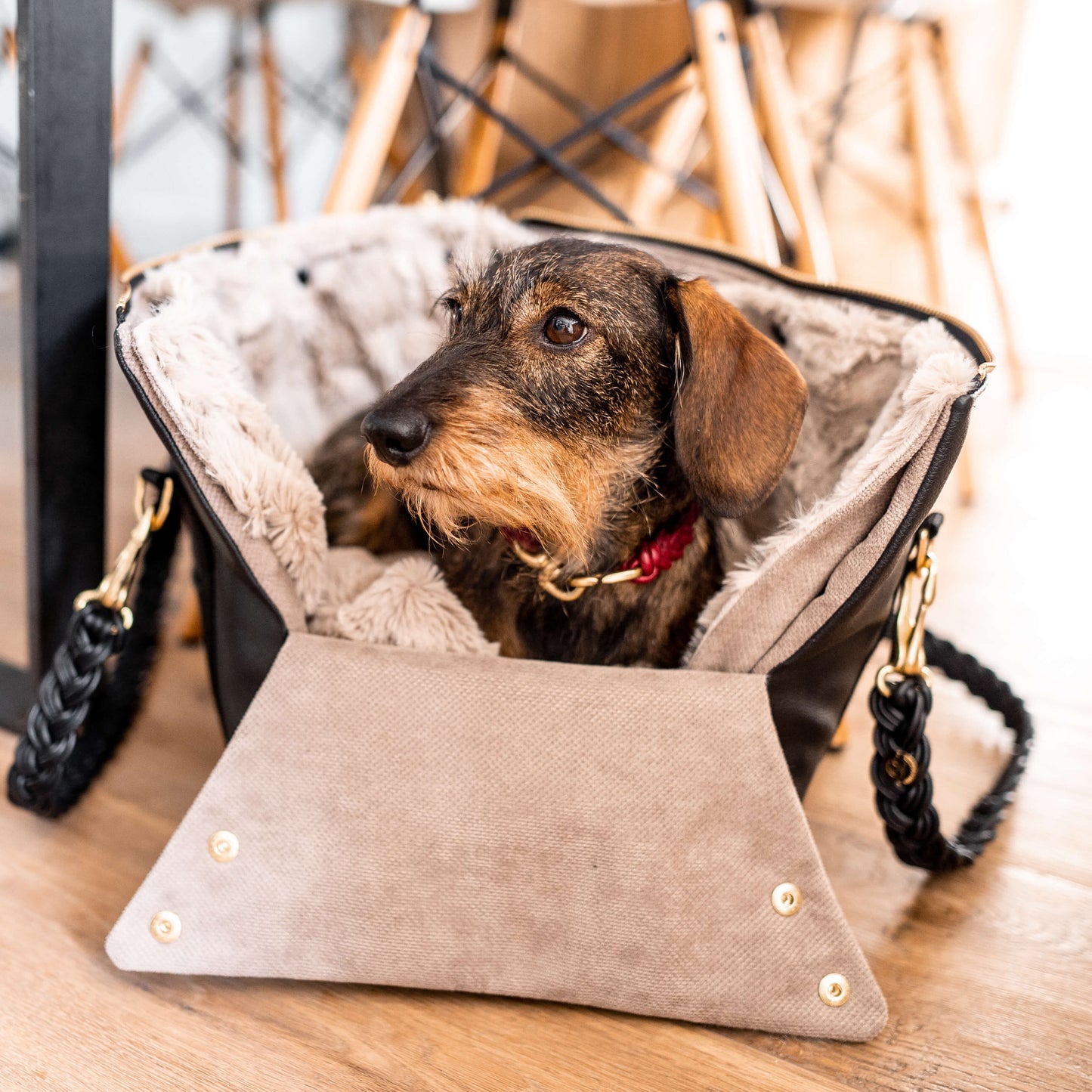 Hundeshopper in Schwarz