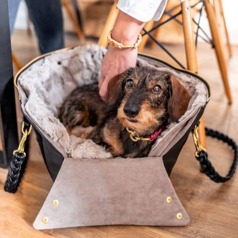 Hundeshopper in Schwarz
