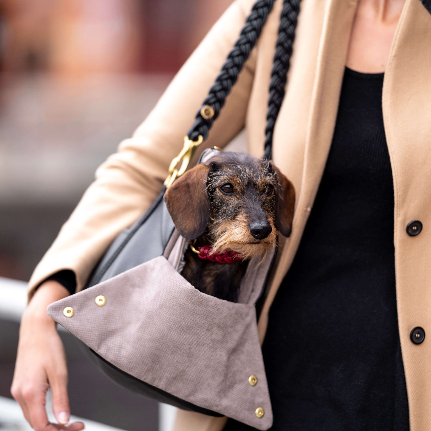Hundeshopper in Schwarz
