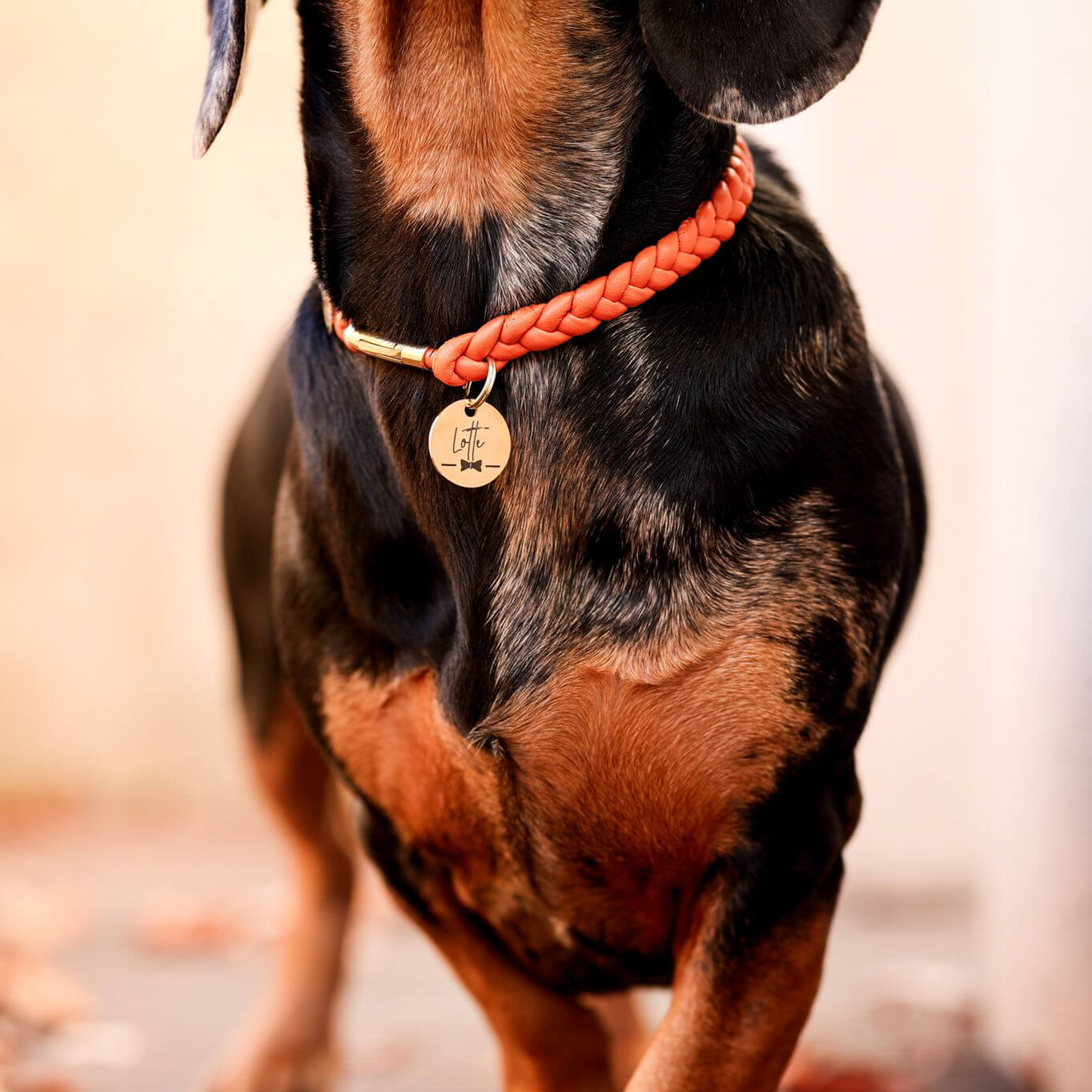 Hundemarke