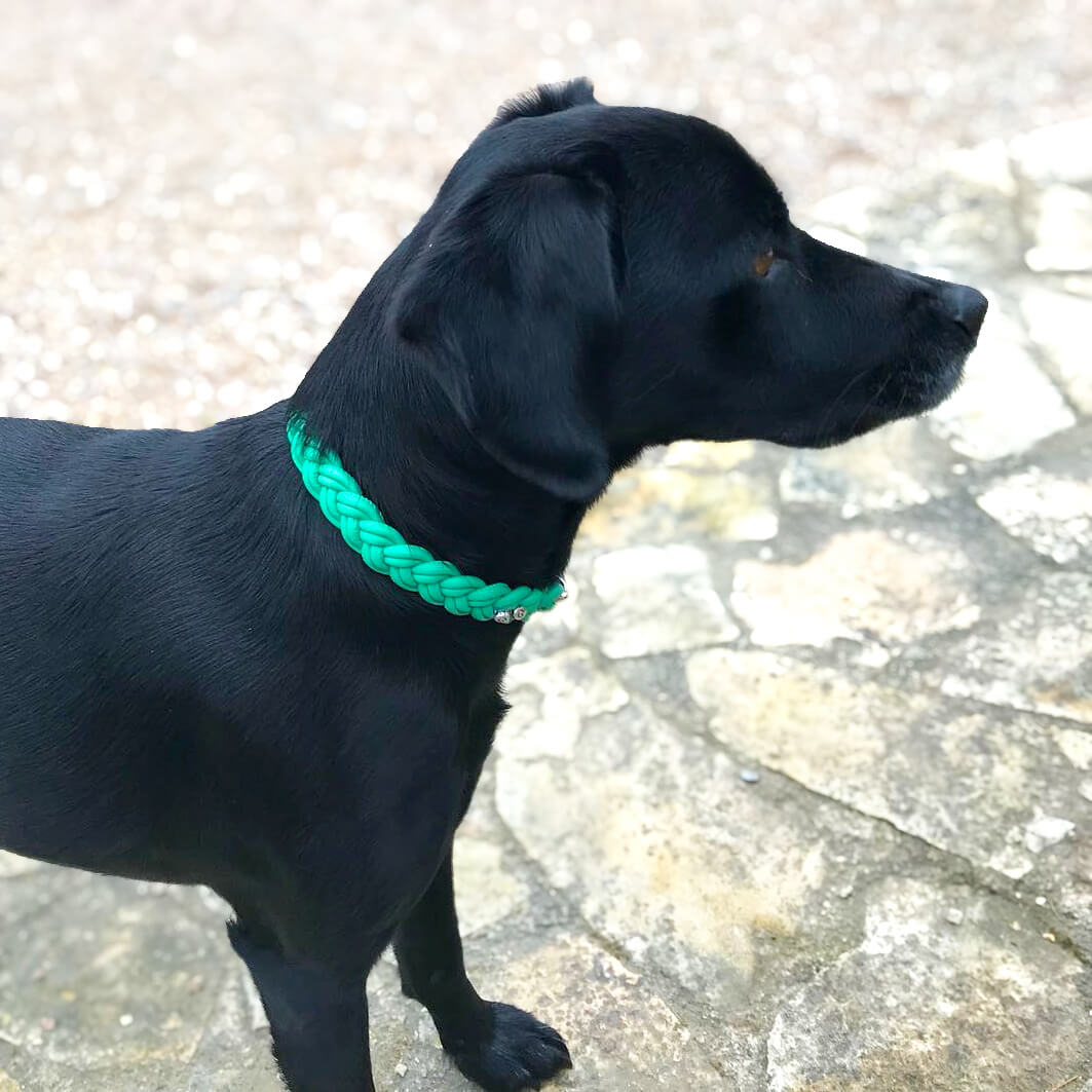 Flechthalsband Jade