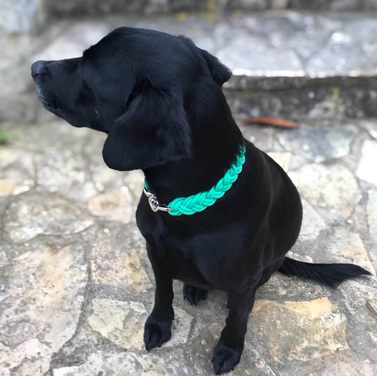 Flechthalsband Jade
