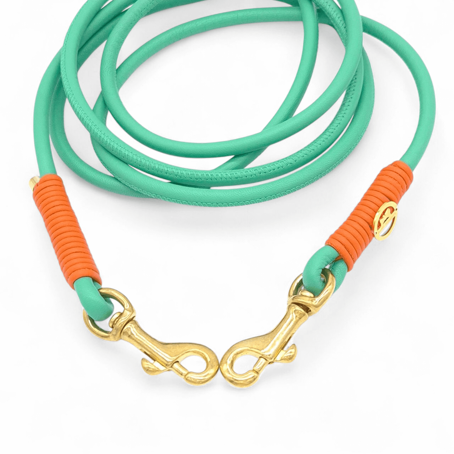 Lederleine Jade/Orange - für kleine Hunde (Sofortkauf)