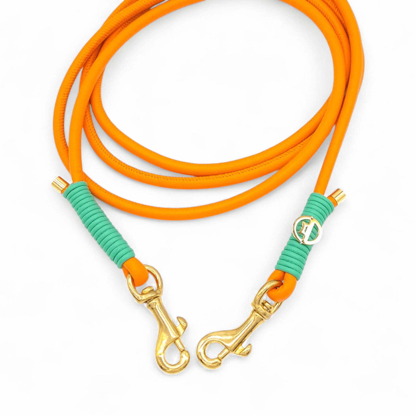 Lederleine Orange/Jade - für kleine Hunde (Sofortkauf)