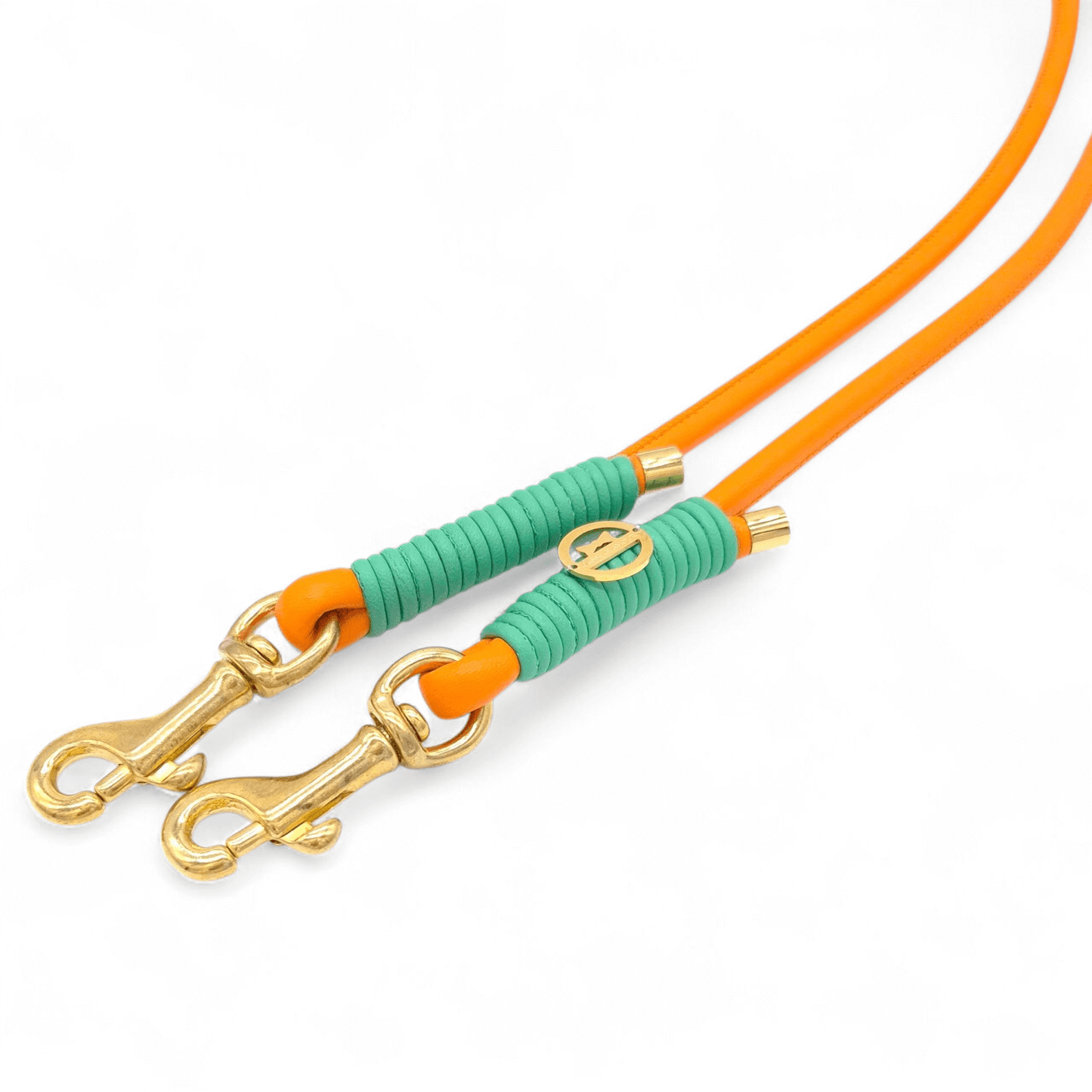 Lederleine Orange/Jade - für kleine Hunde (Sofortkauf)