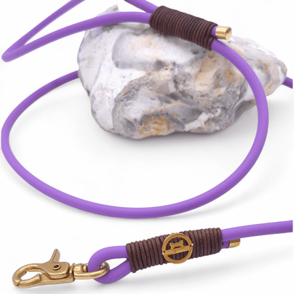 BioThane-Cityleine Amethyst/Vintage Cognac dunkel - für kleinere Hunde (Sofortkauf)