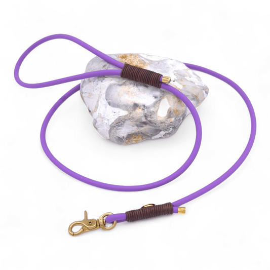 BioThane-Cityleine Amethyst/Vintage Cognac dunkel - für kleinere Hunde (Sofortkauf)