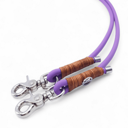 BioThane® Leine Amethyst