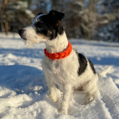BioThane® Halsband Neon-Orange