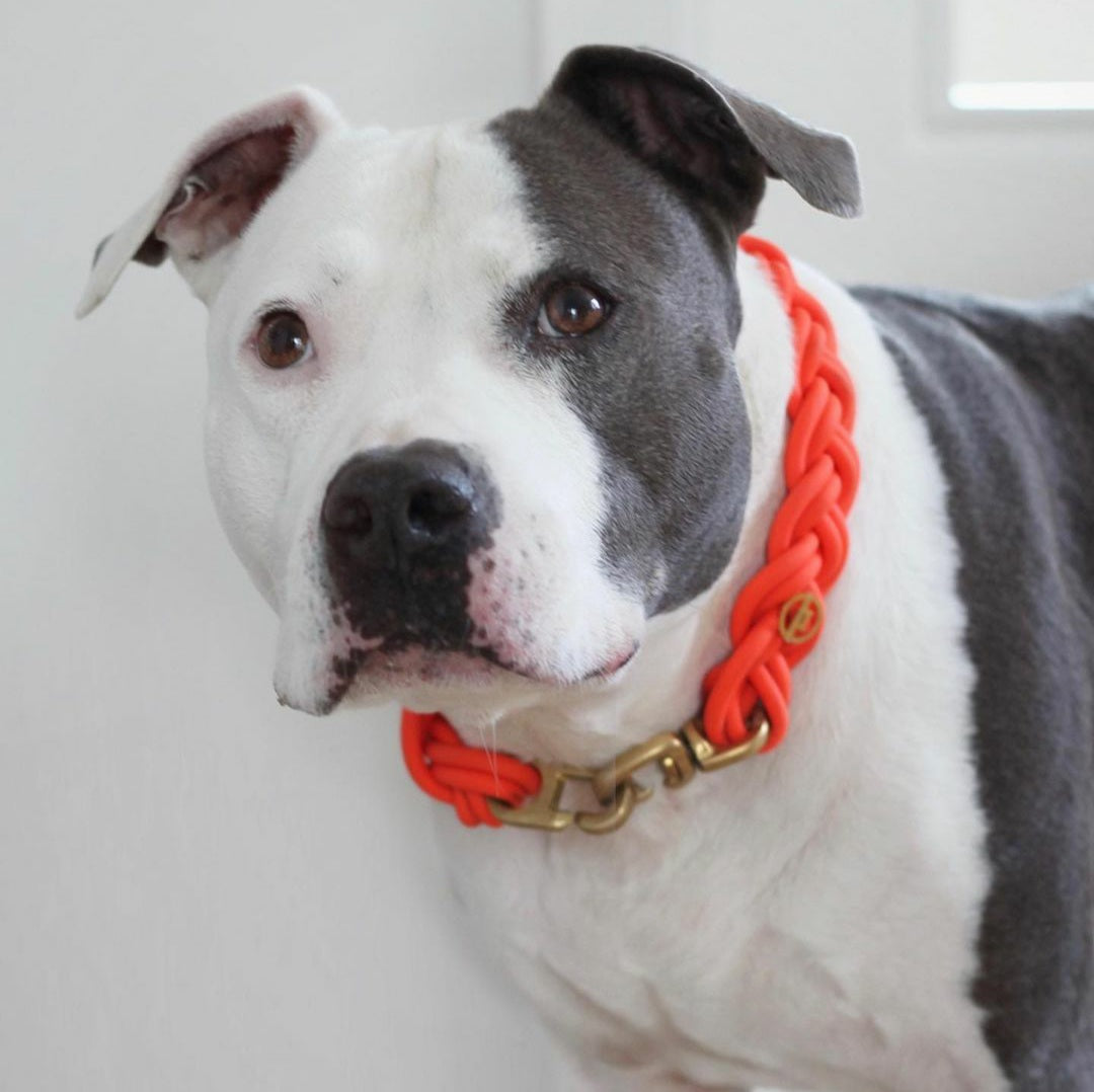 BioThane® Halsband Neon-Orange