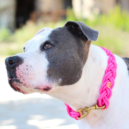 BioThane® Halsband Neon-Pink