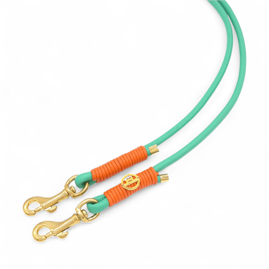 Lederleine Jade/Orange - für kleine Hunde (Sofortkauf)