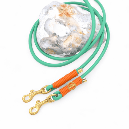 Lederleine Jade/Orange - für kleine Hunde (Sofortkauf)