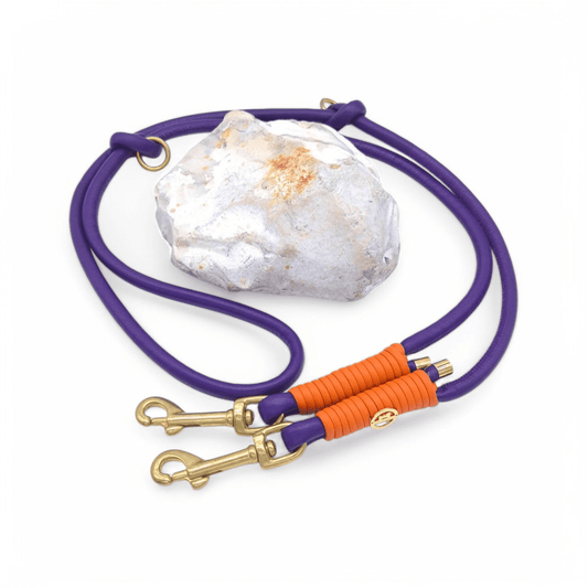 Lederleine Lila/Orange (Sofortkauf)