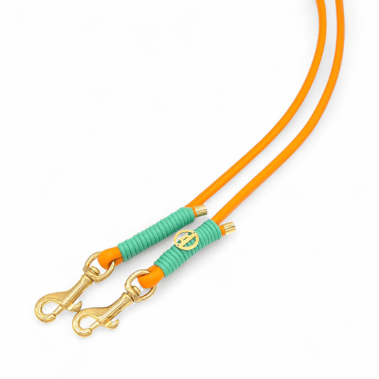 Lederleine Orange/Jade - für kleine Hunde (Sofortkauf)