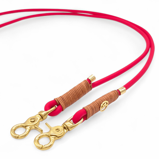 BioThane® Leine Rot